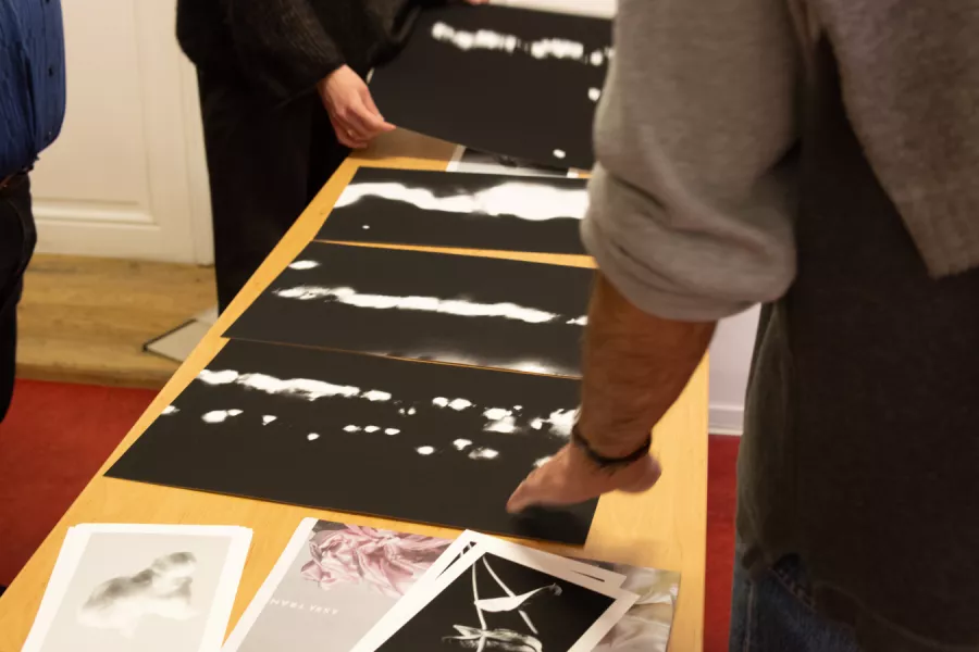 konzultace / consultation